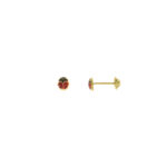 BB LADYBUG